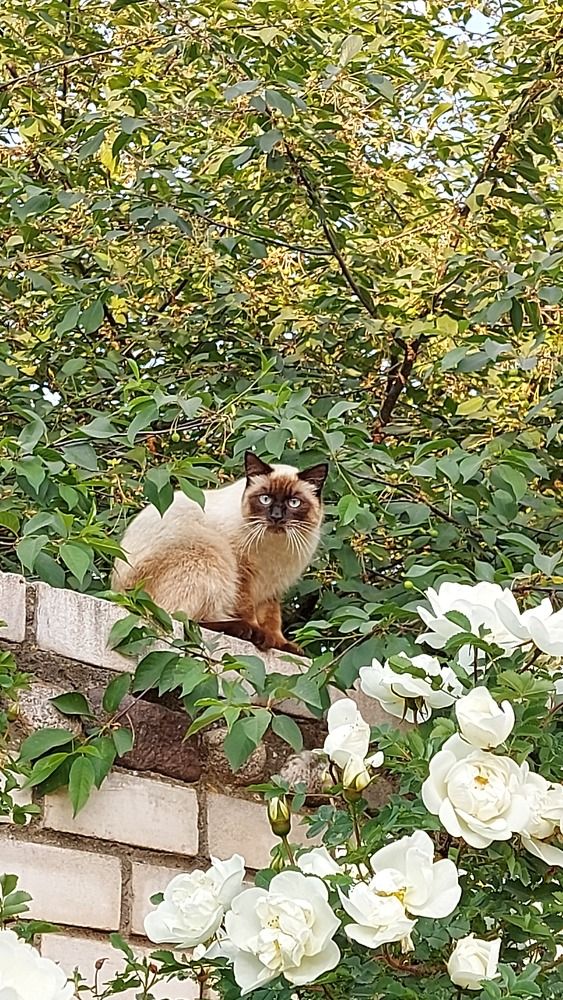 Photograph by ЭЛЬМИРА  ИСМАИЛОВА