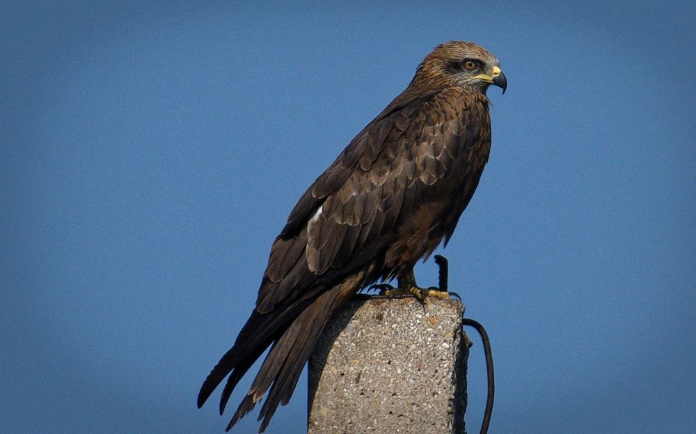 Photograph by Алексей Волжский