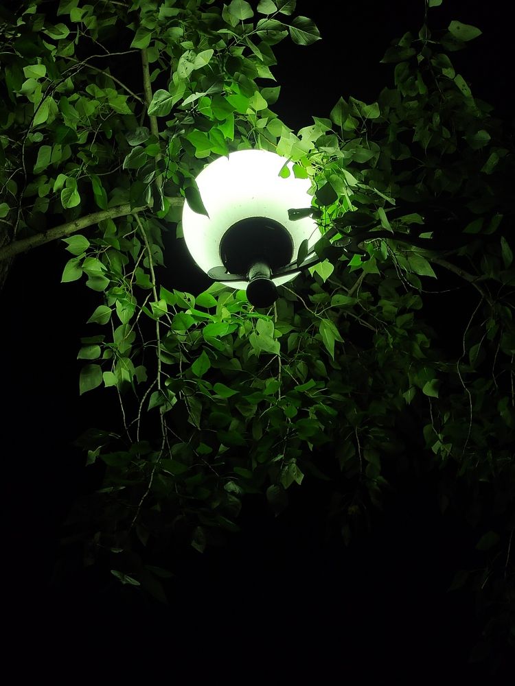 Photograph by Татьяна Гулакова