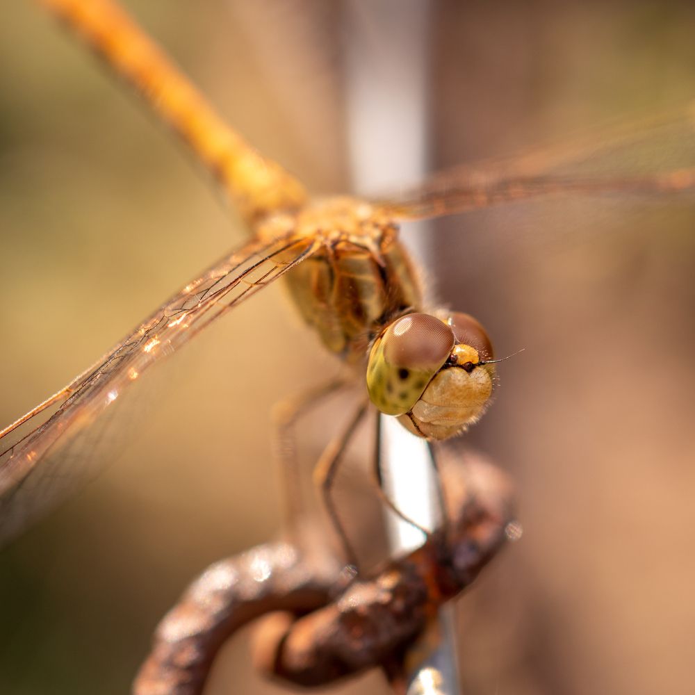 Photograph by Pucs Fongabe