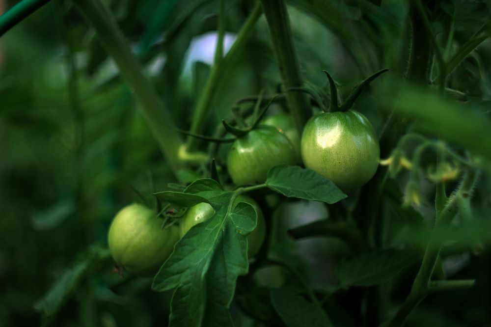 Photograph by Анна Киселёва