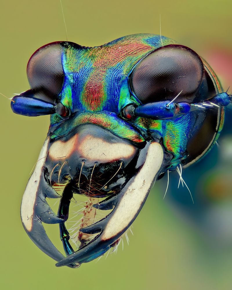 Photograph by Ngọc Trần