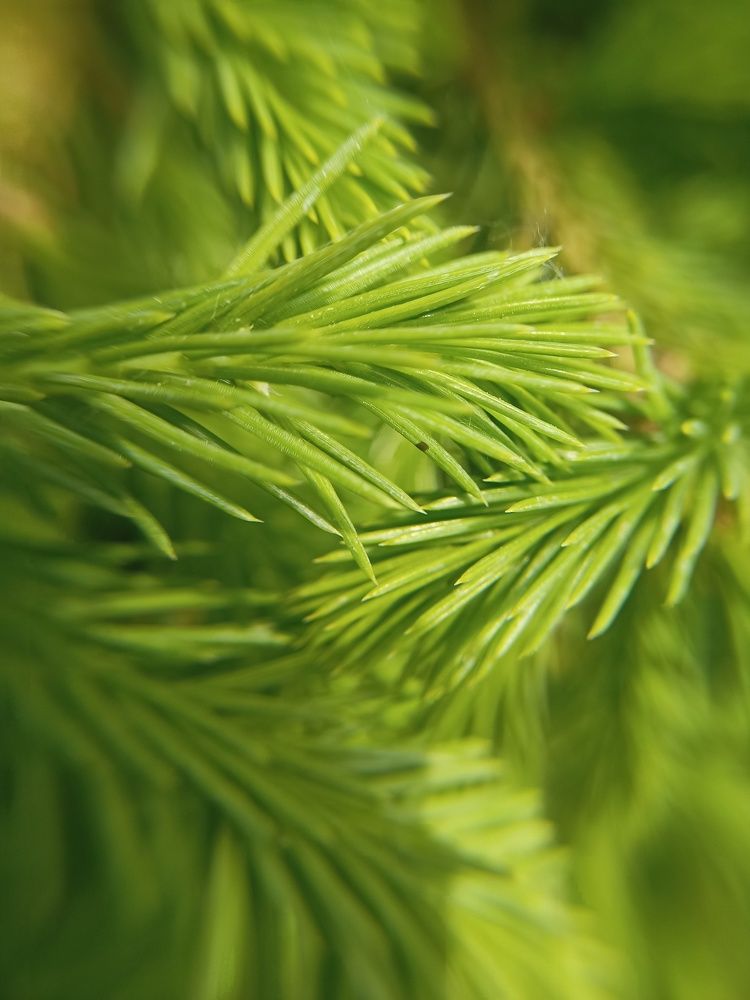 Фотография автора Татьяна Шахова