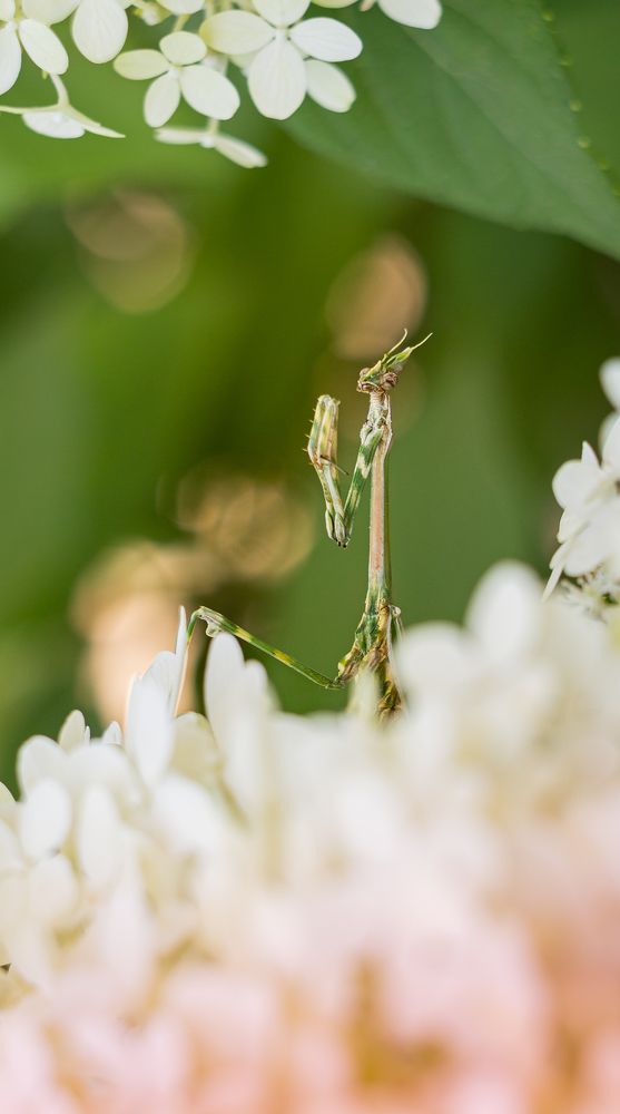 Photograph by Андрей Косяк