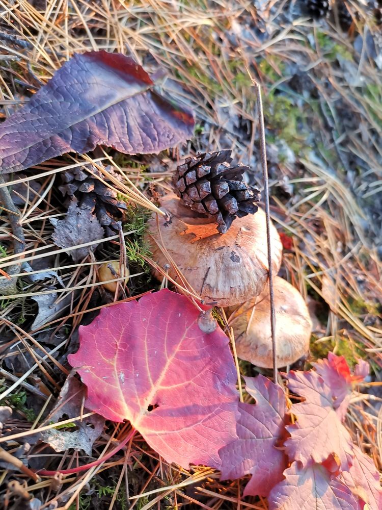 Photograph by Разумов Александр