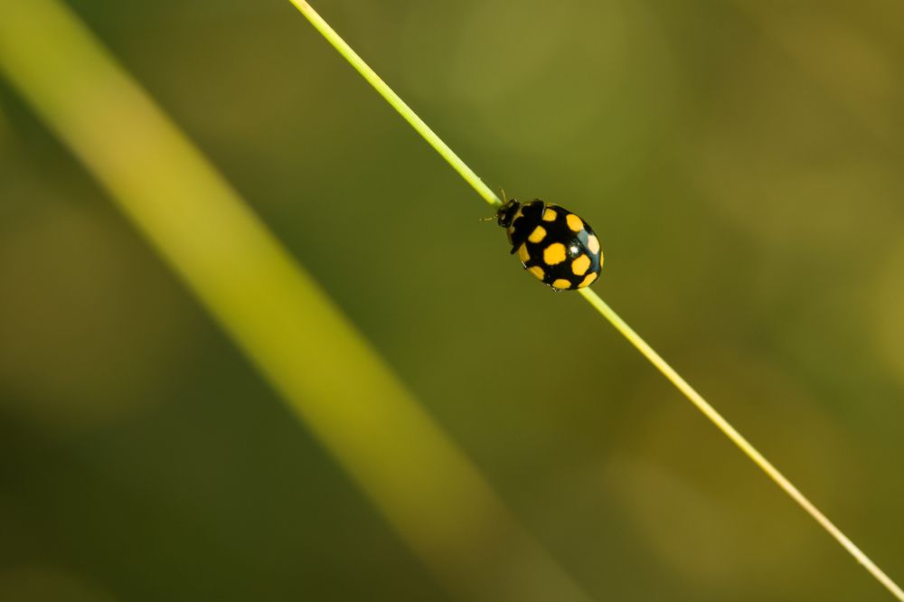 Photograph by Марина Юркова