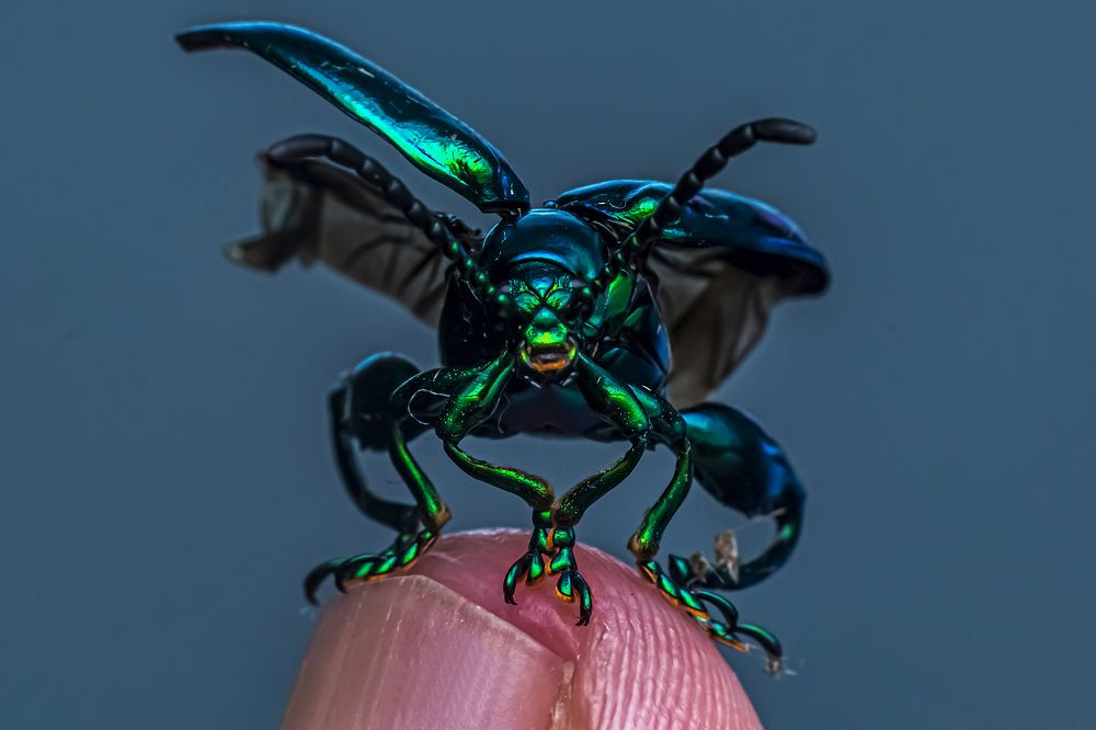 Photograph by NeCoTi ChonTin