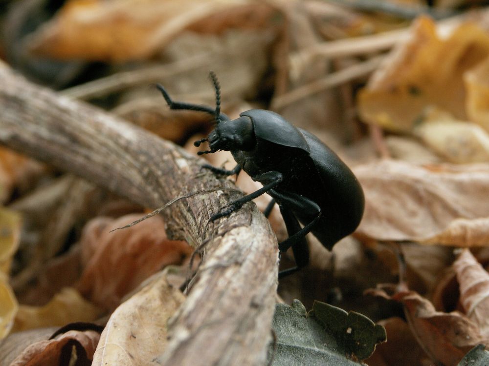 Photograph by Юрий Яковлев