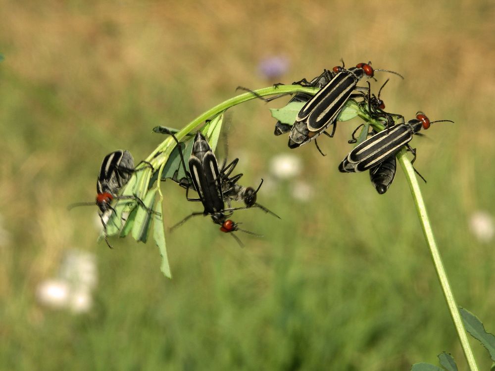 Photograph by Юрий Яковлев