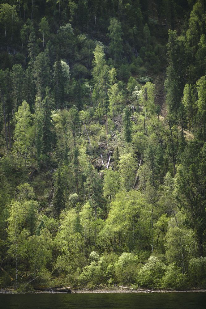 Photograph by Анна Воронова