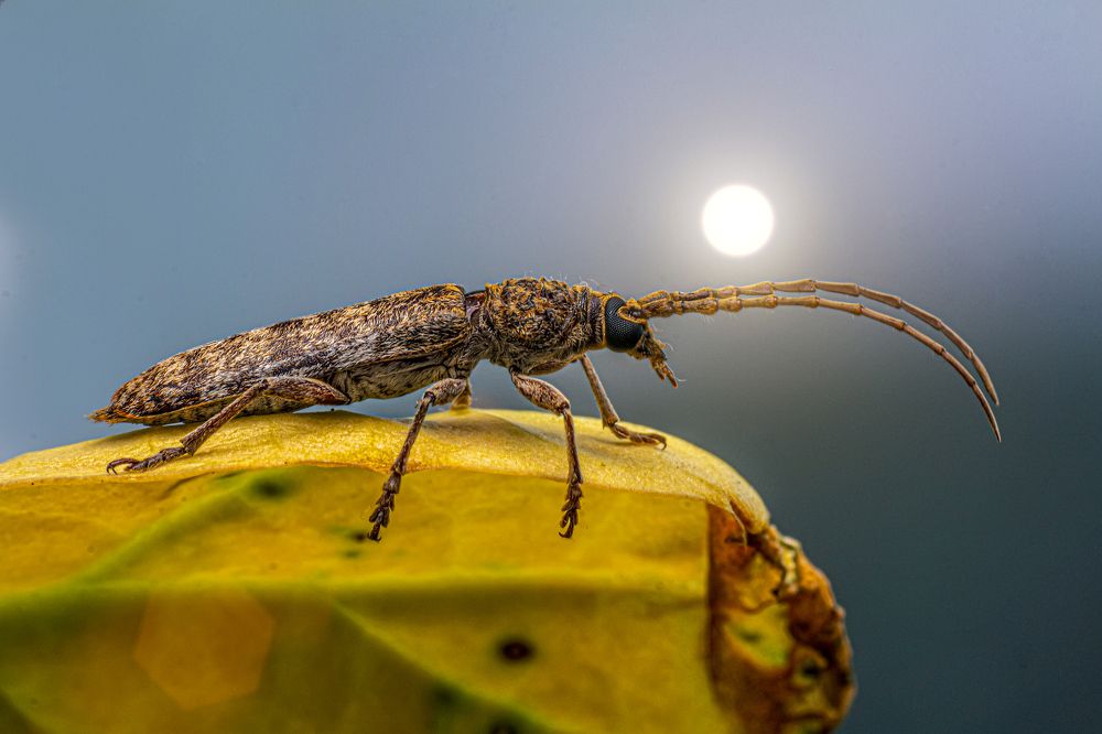 Photograph by NeCoTi ChonTin