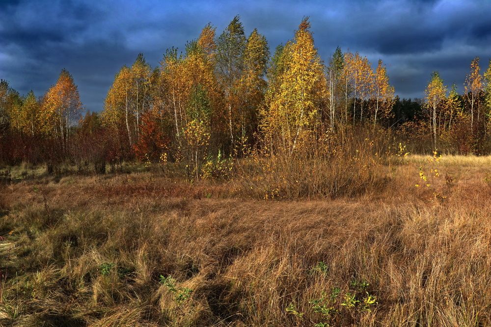 Перед ненастьем.