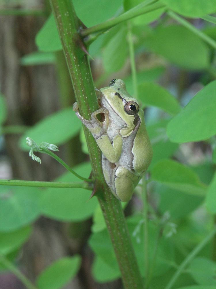Photograph by Юрий Яковлев
