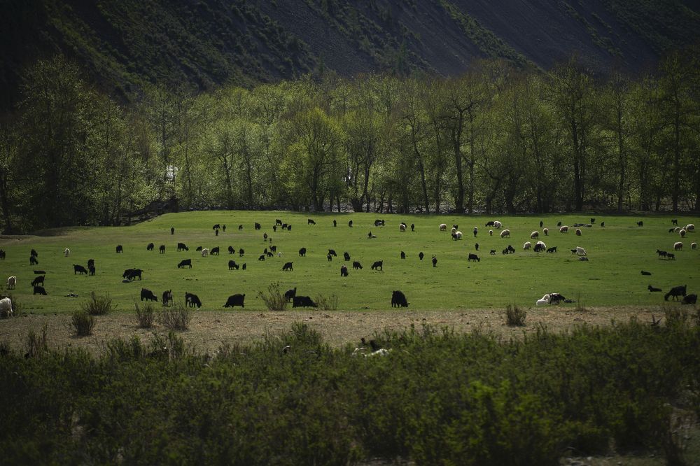 Photograph by Анна Воронова