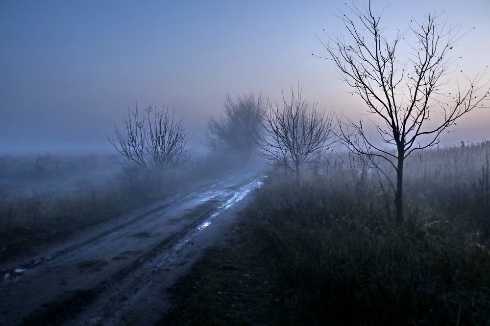 Photograph by Владимир Подкуйко