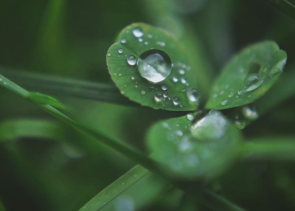 Photograph by Anna Solomina