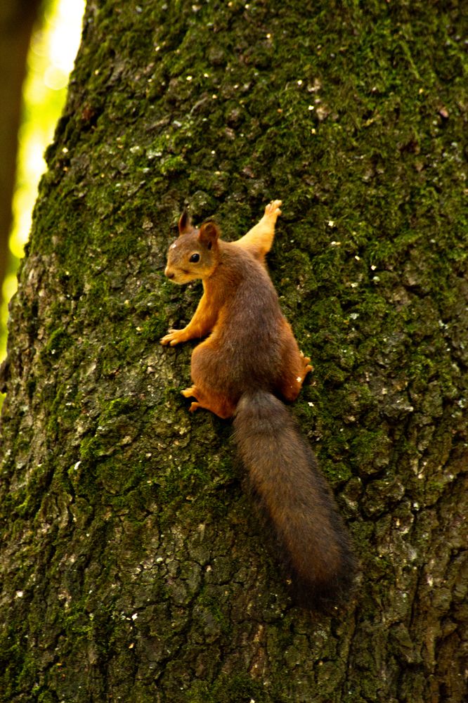 Photograph by Эльвира Халимулина