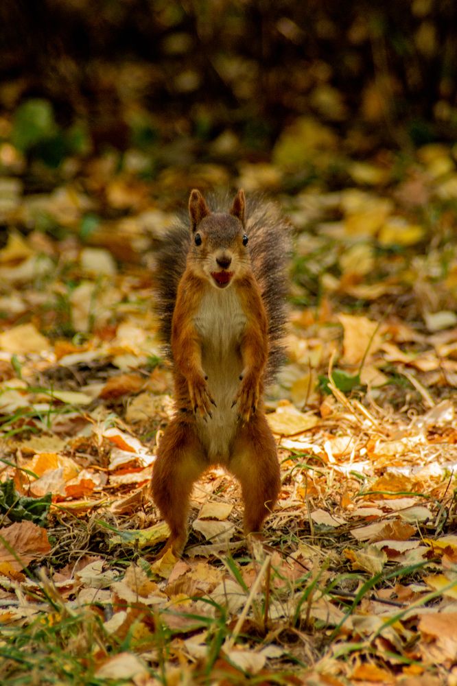 Photograph by Эльвира Халимулина