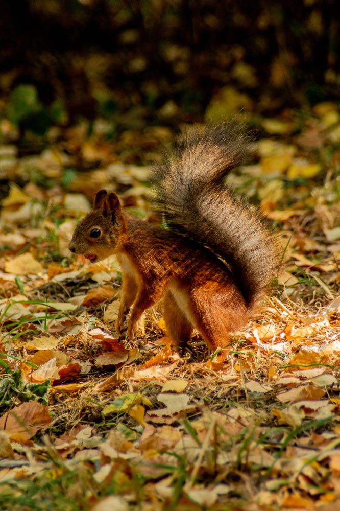 Photograph by Эльвира Халимулина