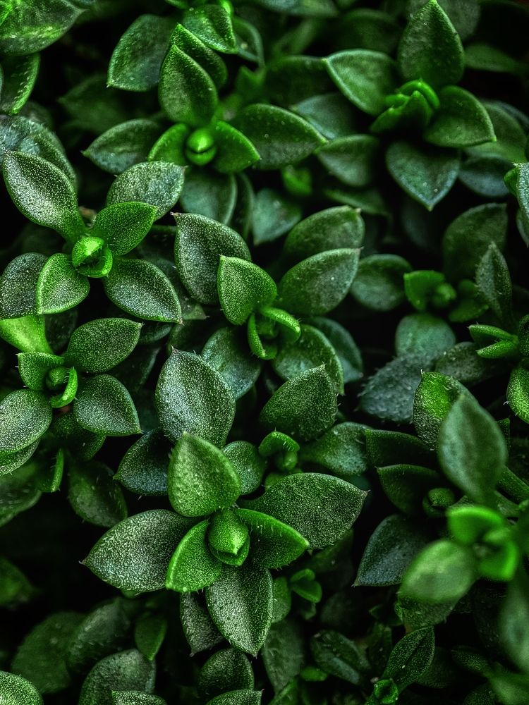 Photograph by Оксана Бурцева