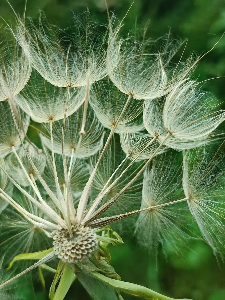 Photograph by Оксана Бурцева