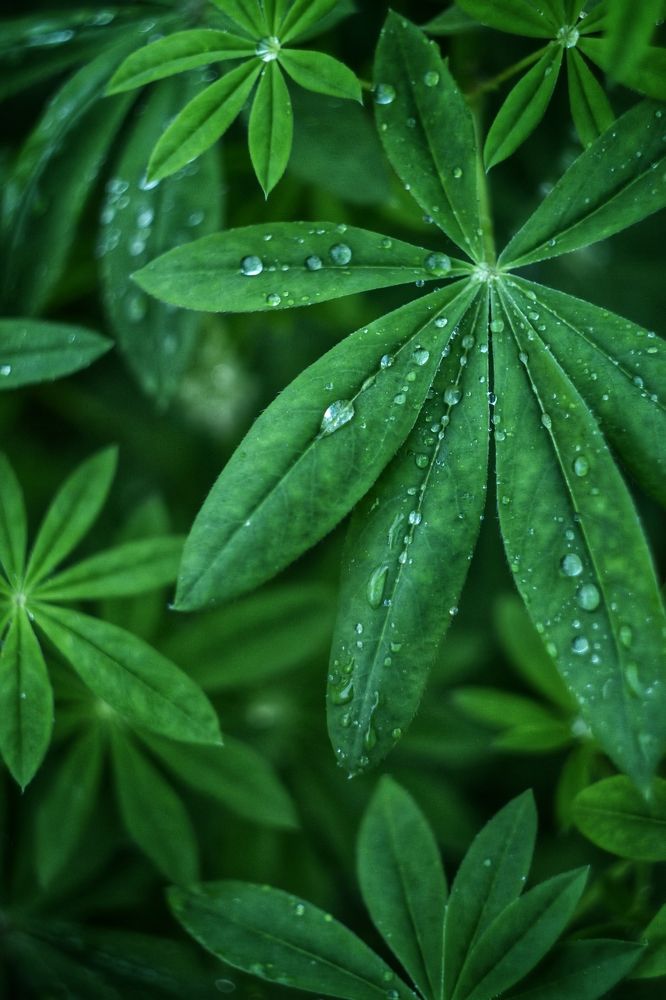 Фотография автора Анастасия Руднева