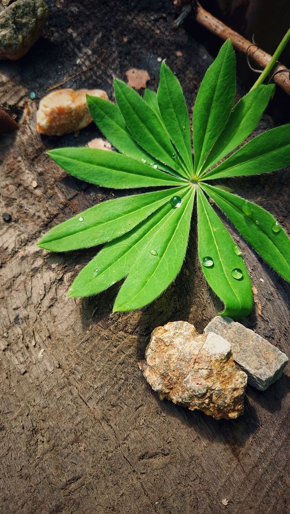 Фотография автора Анастасия Руднева