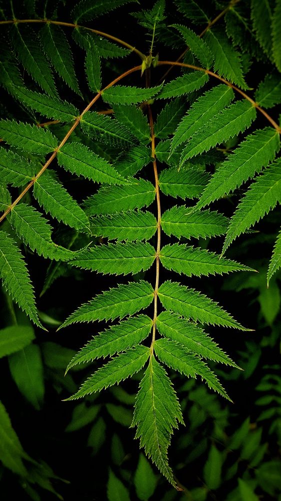 Фотография автора Анастасия Руднева