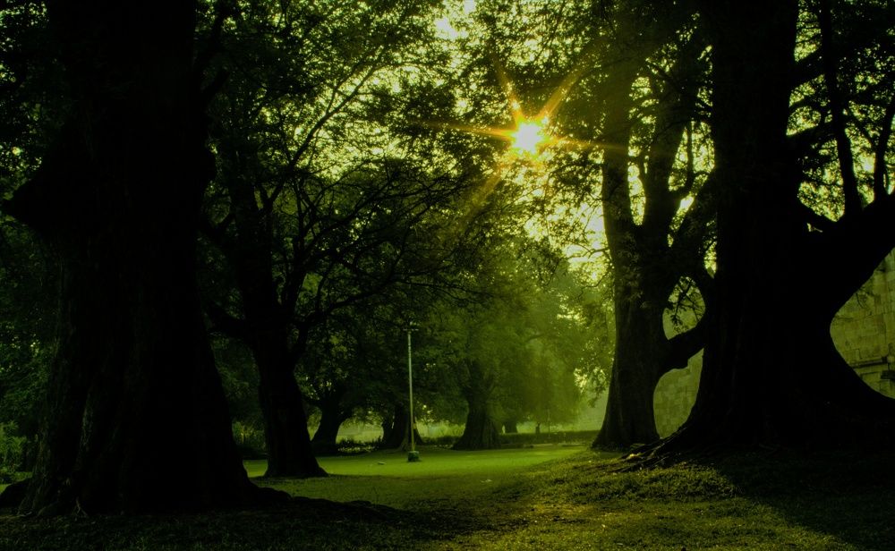 Photograph by Ganeshpandian