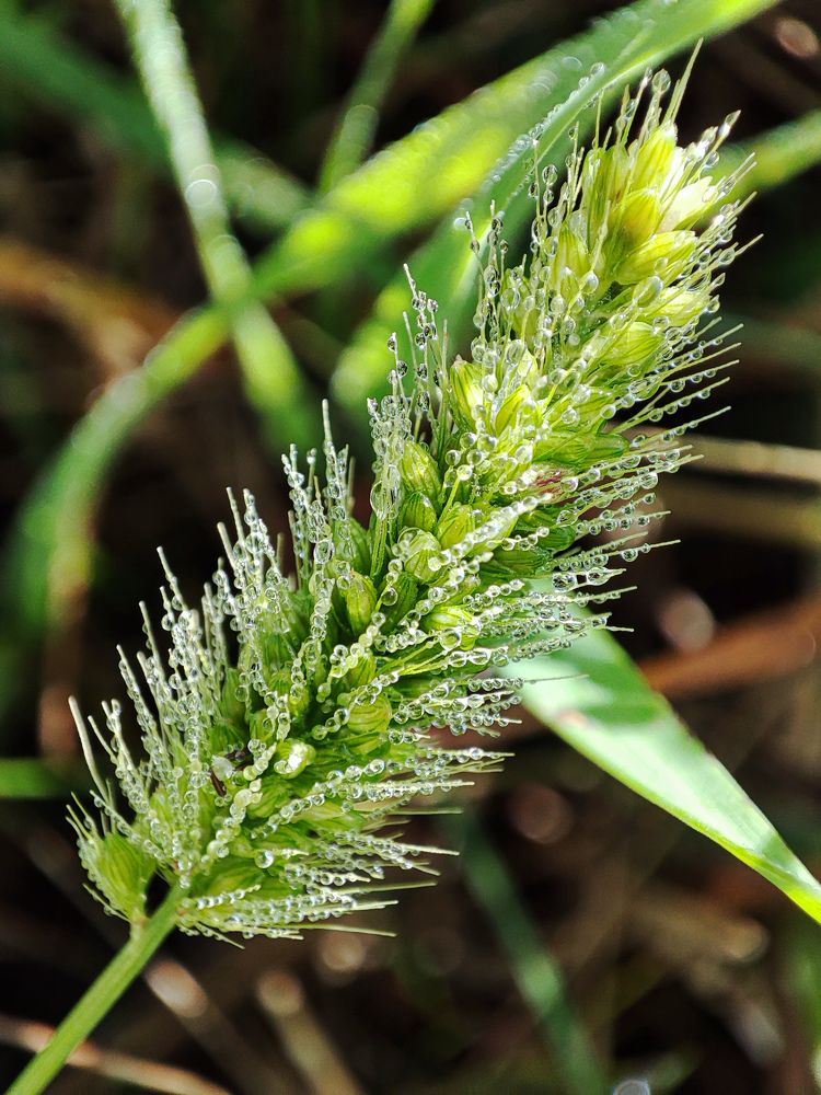 Photograph by Оксана Бурцева