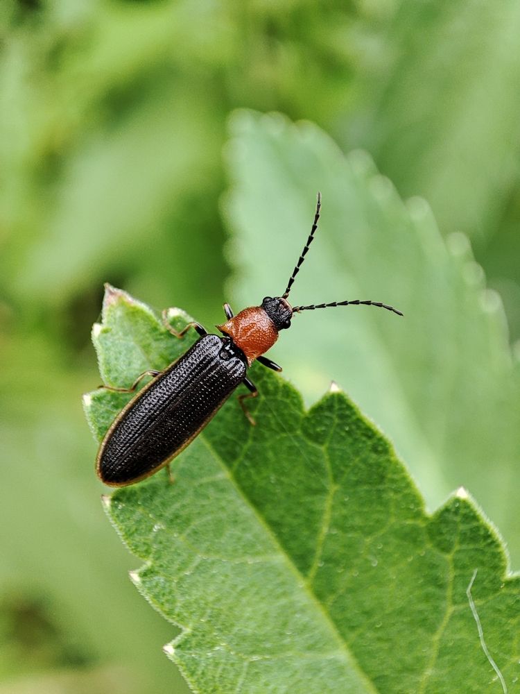 Photograph by Оксана Бурцева