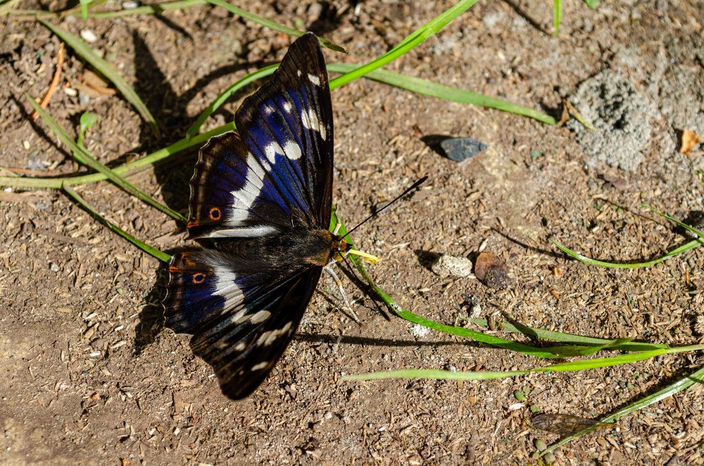 Photograph by Денис Кичев