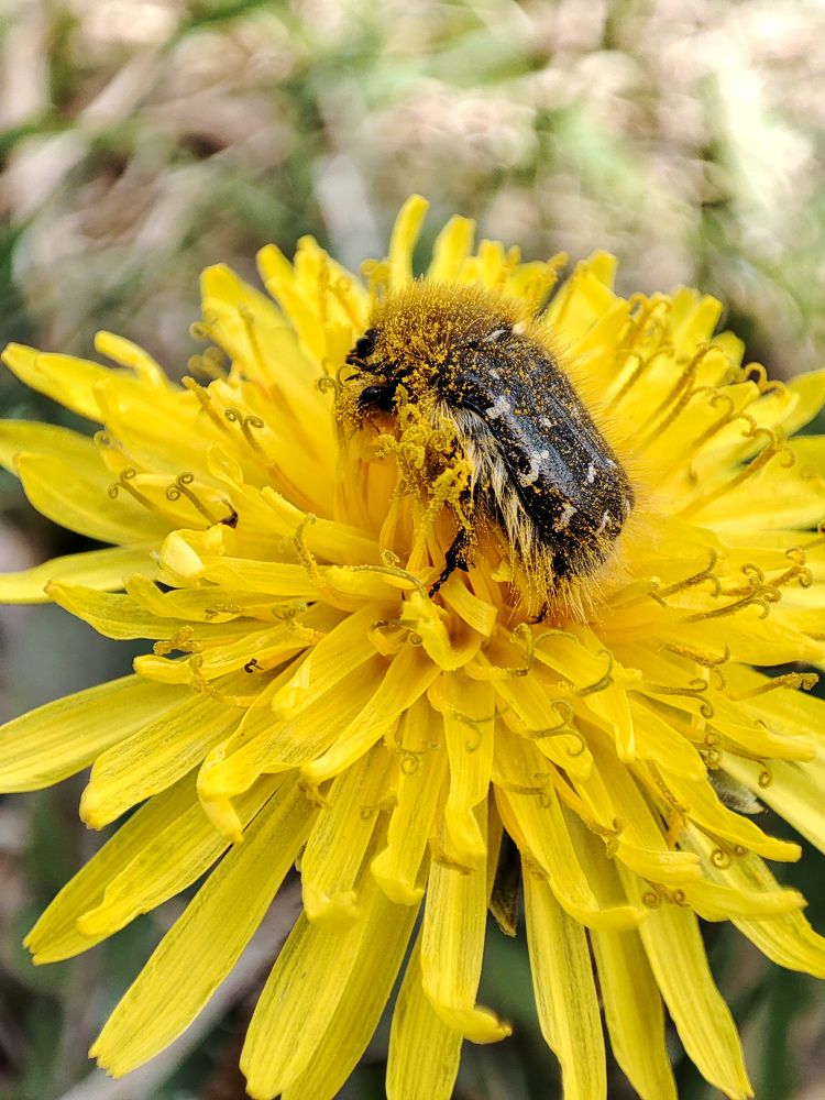 Photograph by Оксана Бурцева