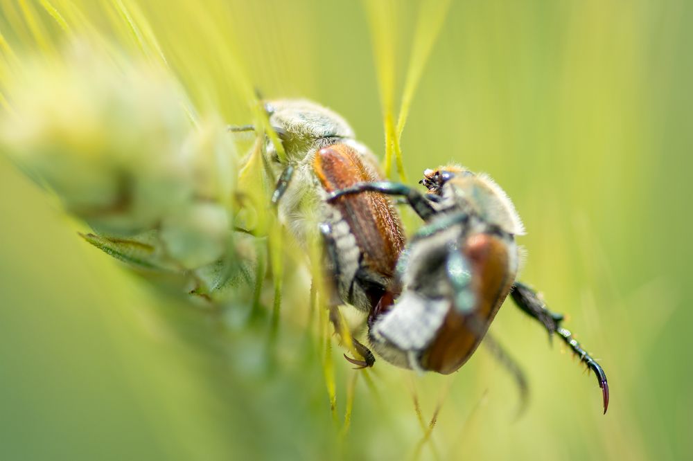 Photograph by Pucs Fongabe