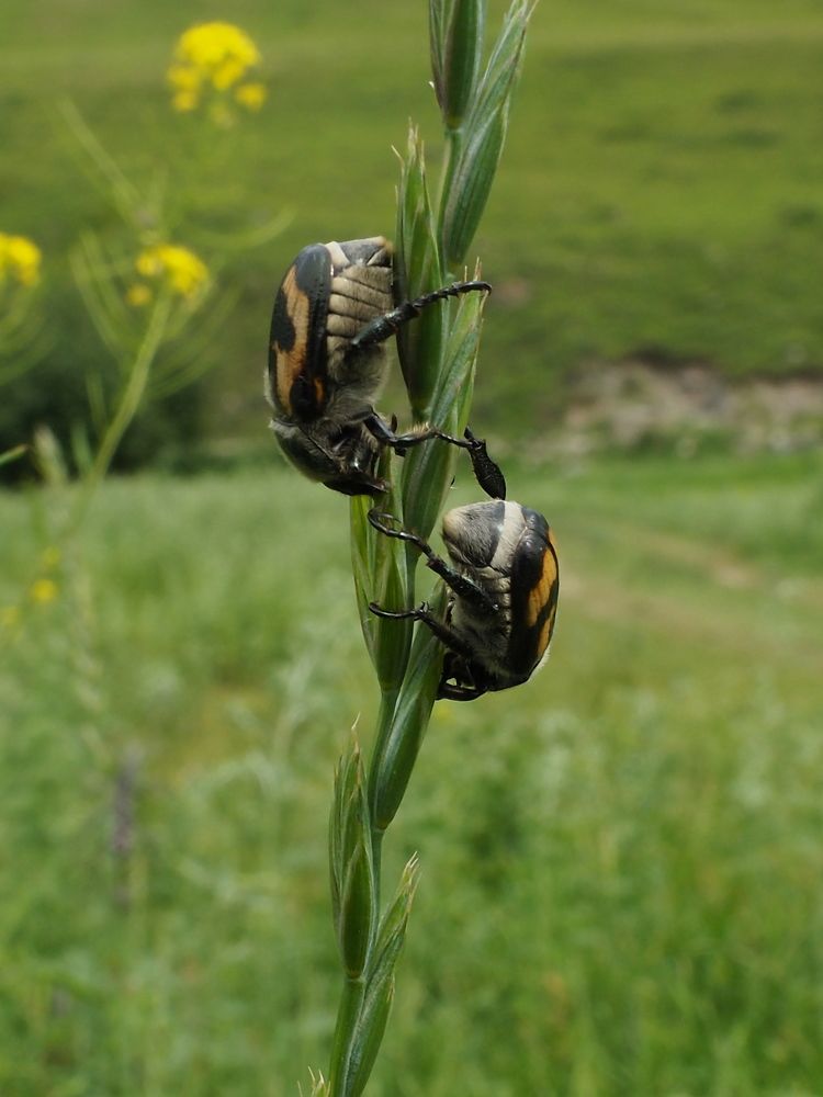 Photograph by Елена Харитонова