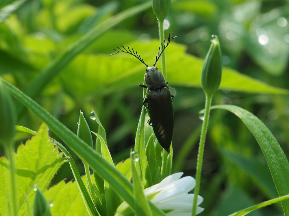 Photograph by Елена Харитонова