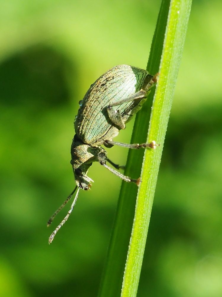 Photograph by Елена Харитонова