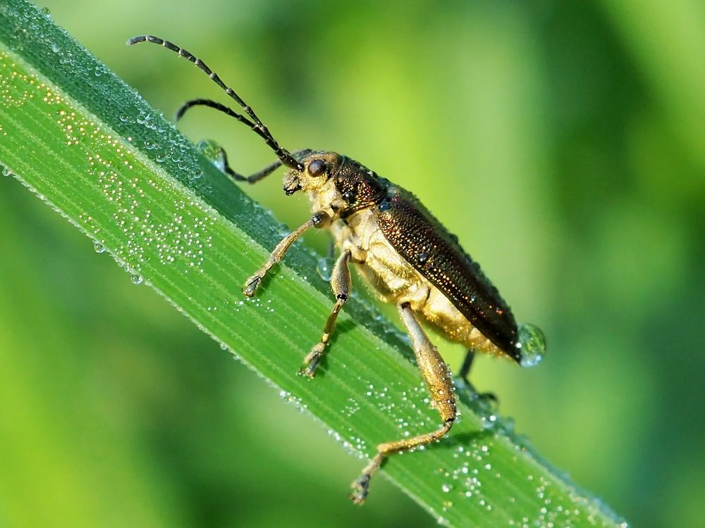 Photograph by Елена Харитонова