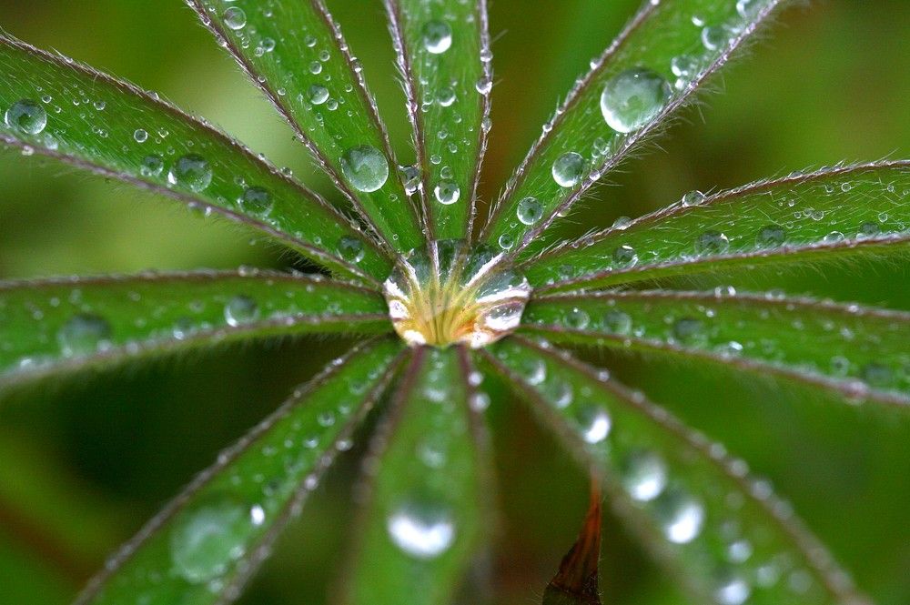 Photograph by 