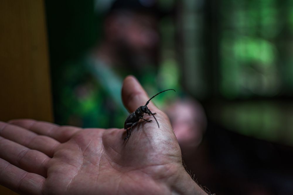 Photograph by Артём Александрович