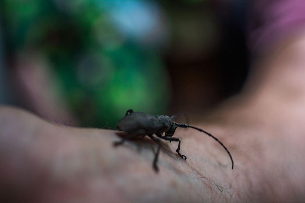 Photograph by Артём Александрович