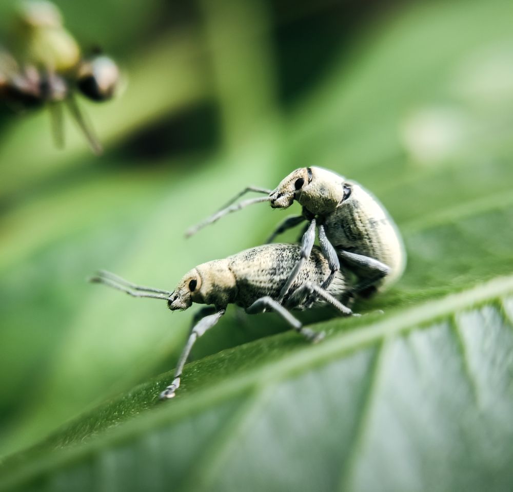Photograph by GOVIND VISWANATH