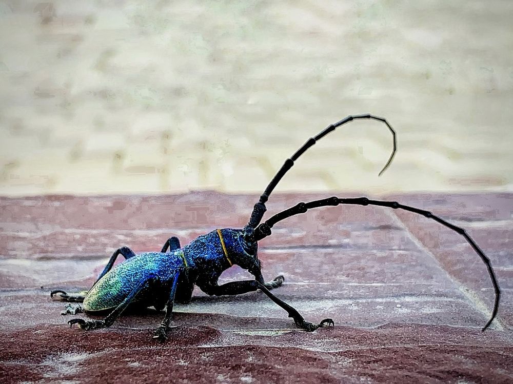 Photograph by Татьяна Семёнова