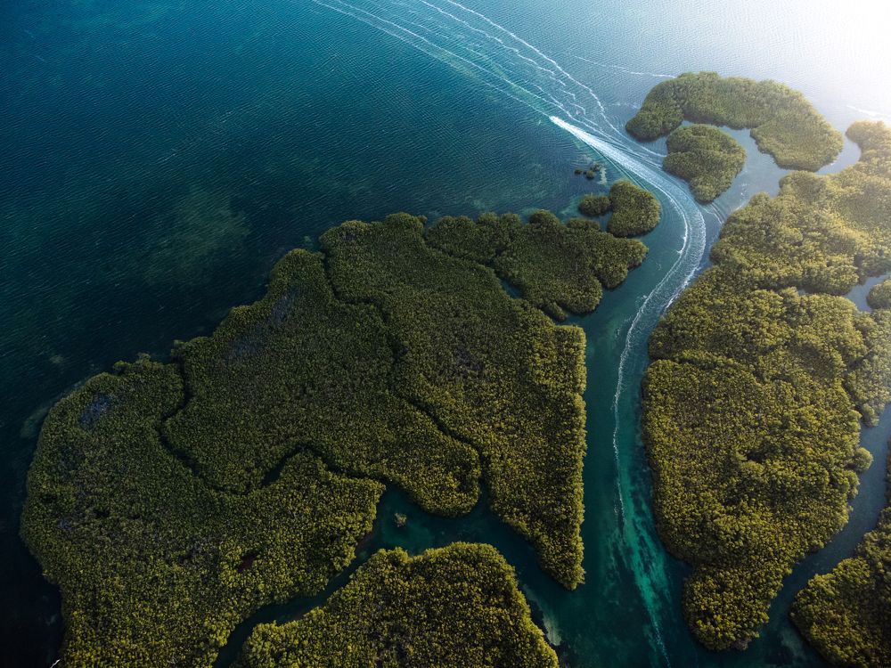 Photograph by Josue Marquez