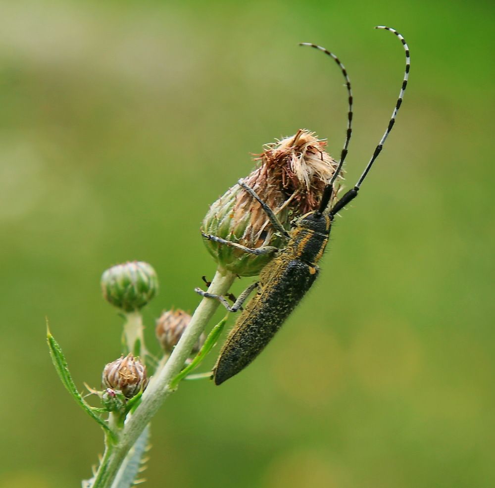 Photograph by Сергей Кульков