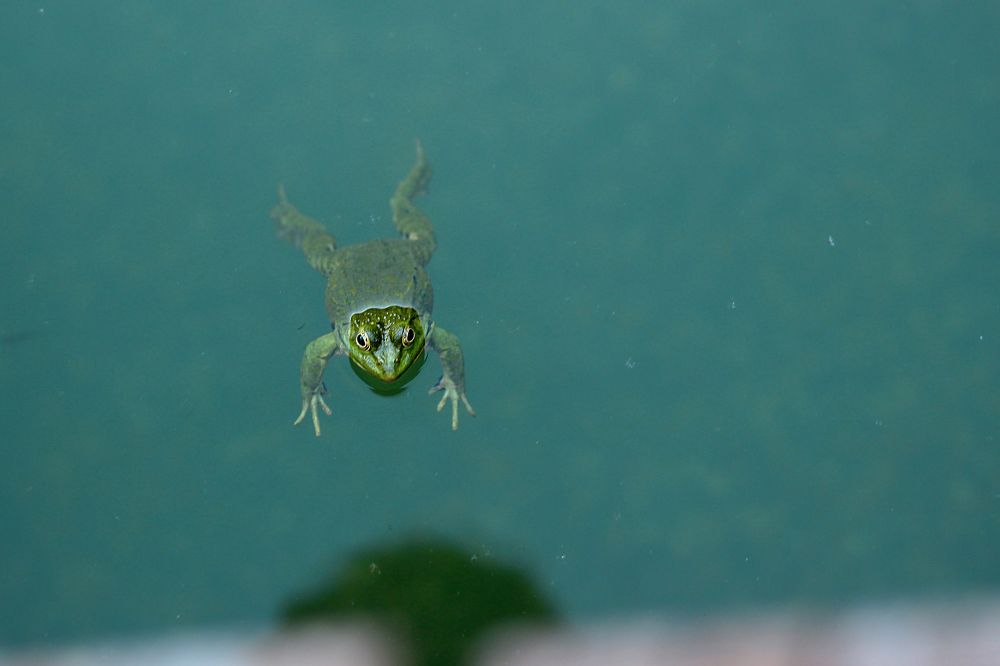 Photograph by Преснякова Наталья