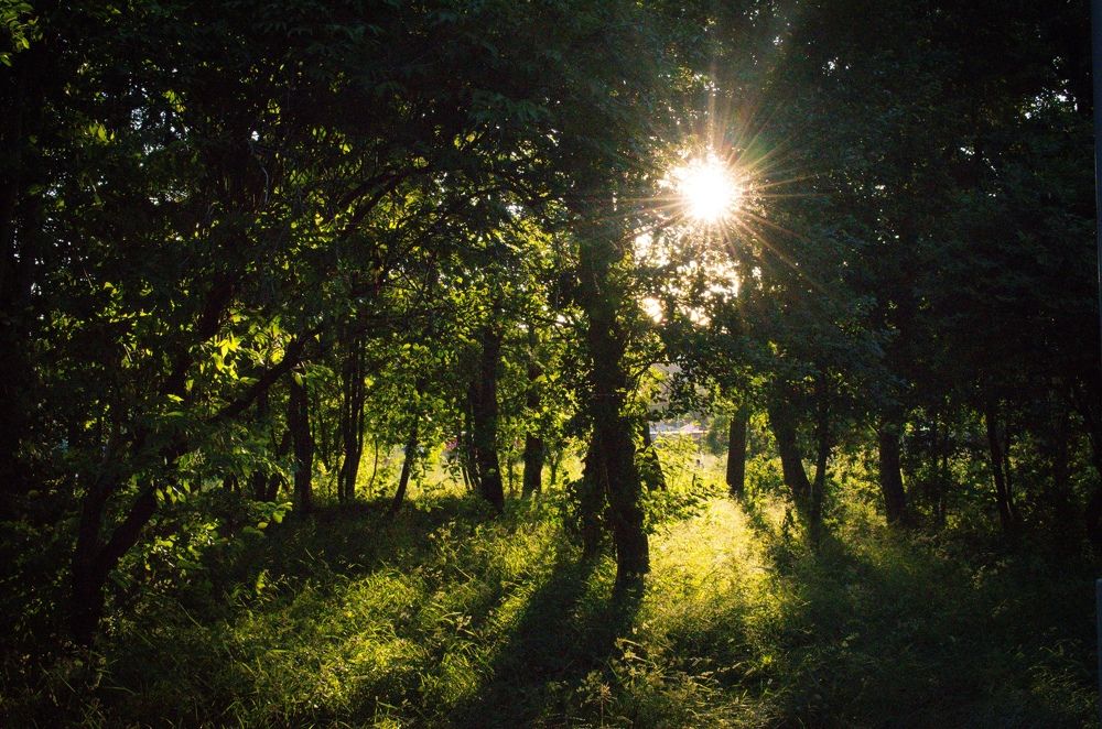 Photograph by Александра Мазур