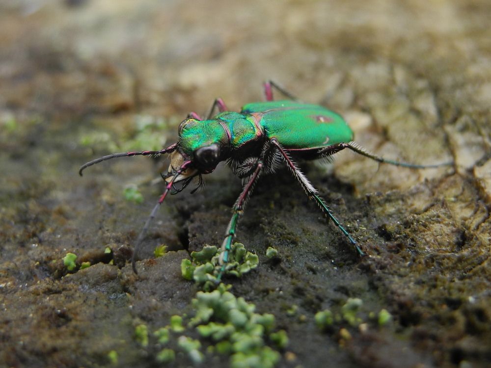 Photograph by Андрей Головин