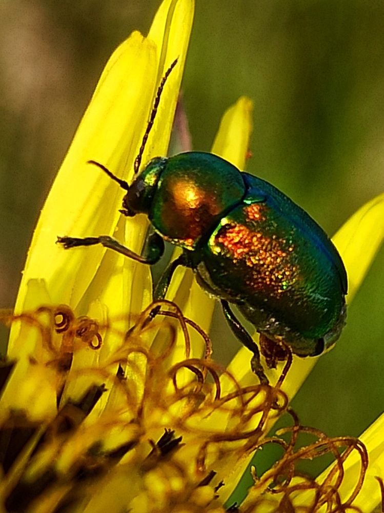 Photograph by Долгушева Татьяна