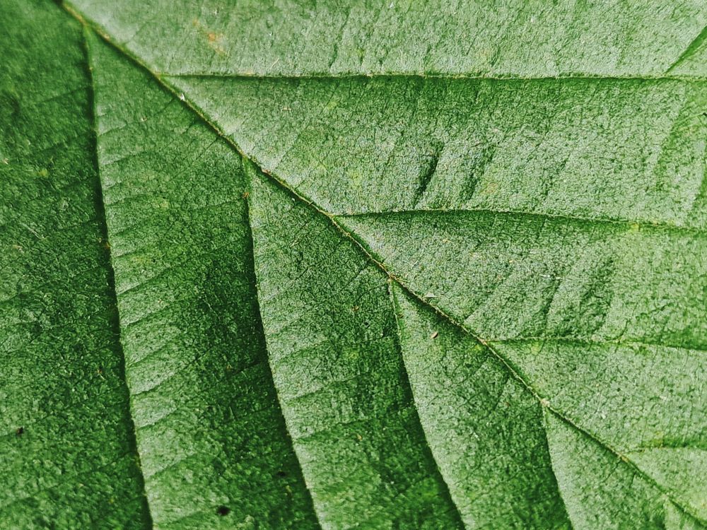 Photograph by Анастасия Немова